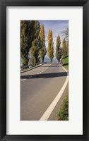 Framed Switzerland, Lake Zug, View of Populus Trees lining a road