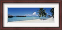 Framed Palm Tree On The Beach, Moana Beach, Bora Bora, Tahiti, French Polynesia