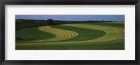 Framed Curving crops in a field, Illinois, USA