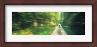 Framed Road, Greenery, Trees, Germany
