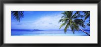 Framed Ocean, Island, Water, Palm Trees, Maldives