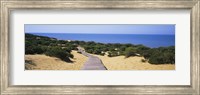 Framed Boardwalk on the beach, Cuesta De Maneli, Donana National Park, Huelva Province, Spain