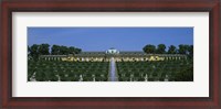 Framed Formal garden in front of a palace, Sanssouci Palace, Potsdam, Brandenburg, Germany