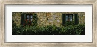 Framed Flowers on a window, Monteriggioni, Tuscany, Italy