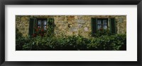 Framed Flowers on a window, Monteriggioni, Tuscany, Italy