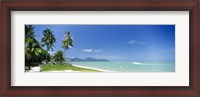 Framed Palm trees on the beach, Penang State, Malaysia