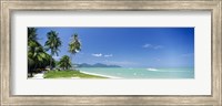 Framed Palm trees on the beach, Penang State, Malaysia