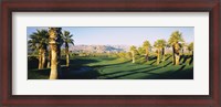 Framed Marriot Desert Spring CA, USA
