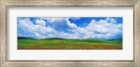 Framed Open Field, Hill, Clouds, Blue Sky, Tuscany, Italy