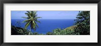 Framed Palm trees on the coast, Tobago, Trinidad And Tobago