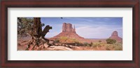 Framed Close-Up Of A Gnarled Tree With West And East Mitten, Monument Valley, Arizona, USA,