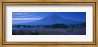 Framed Mount Fuji Japan