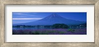 Framed Mount Fuji Japan