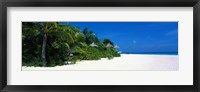 Framed Beach in The Maldives