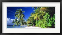 Framed Palm Beach The Maldives