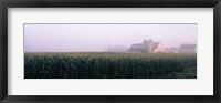 Framed Barn in a field, Illinois, USA