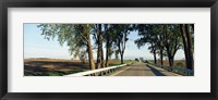Framed Road passing through a landscape, Illinois Route 64, Carroll County, Illinois, USA