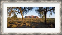 Framed Ayers Rock Australia