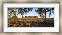 Framed Ayers Rock Australia