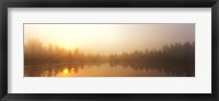 Framed Misty Morning, Volvo Bog, Illinois, USA