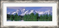 Framed Grand Tetons National Park WY