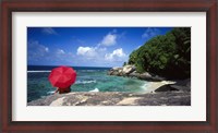 Framed Indian Ocean Moyenne Island Seychelles