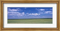 Framed Herd of Bison on prairie Cheyenne WY USA