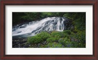 Framed Waterfall in the forest, Mt Rainier National Park, Washington State, USA