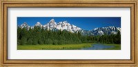 Framed Trees along a river, Near Schwabachers Landing, Grand Teton National Park, Wyoming