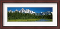 Framed Trees along a river, Near Schwabachers Landing, Grand Teton National Park, Wyoming