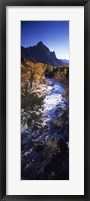 Framed High angle view of a river flowing through a forest, Virgin River, Zion National Park, Utah, USA