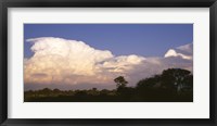 Framed Clouds over a forest, Moremi Game Reserve, Botswana