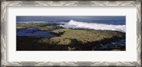 Framed Rock formations at the coast, Fernandina Island, Galapagos Islands, Ecuador