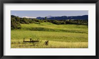 Framed Agricultural equipment in a field, Pikes Peak, Larkspur, Colorado, USA