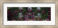 Framed Flowers Breton Home Brittany France