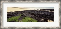 Framed Lava rocks at a coast, Floreana Island, Galapagos Islands, Ecuador