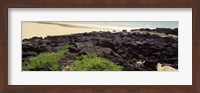Framed Lava rocks at a coast, Floreana Island, Galapagos Islands, Ecuador