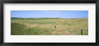Framed Grass on a field, Cherry County, Nebraska, USA