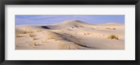 Framed Sand dunes on an arid landscape, Monahans Sandhills State Park, Texas, USA