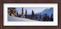 Framed Winter Chugach Mountains AK