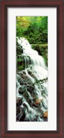Framed Ganoga Falls Ricketts Glenn State Park PA