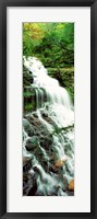 Framed Ganoga Falls Ricketts Glenn State Park PA