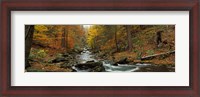 Framed Fall Trees Kitchen Creek PA
