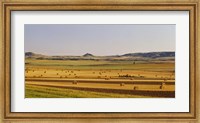 Framed Slope country ND USA