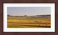 Framed Slope country ND USA