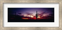 Framed Silhouette of Saguaro cactus (Carnegiea gigantea), Saguaro National Monument, Arizona, USA