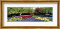 Framed Keukenhof Gardens, Lisse, Netherlands