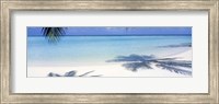 Framed Palm shadows, Laguna Maldives