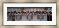 Framed Windows with Colorful Flower Boxes, Appenzell Switzerland