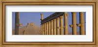 Framed Low angle view of Great Colonnade, Palmyra, Syria